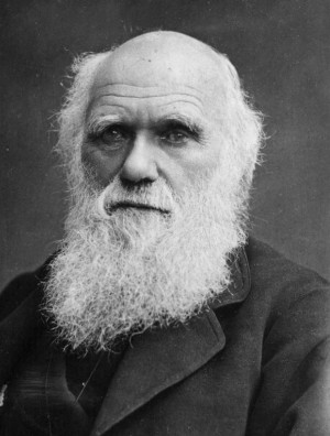 12 февраля – 210 лет со дня рожденияЧарльза Роберта Дарвина (1809-1882), английского естествоиспытателя